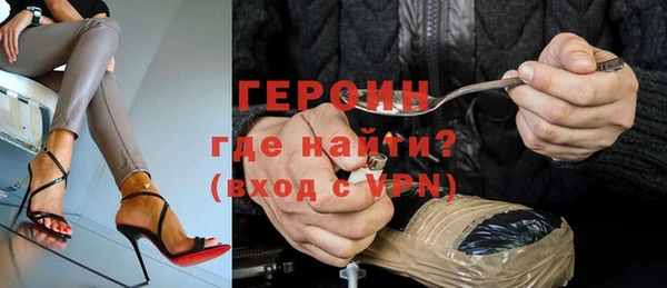 индика Арсеньев