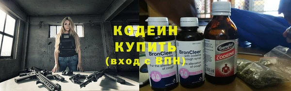 индика Арсеньев
