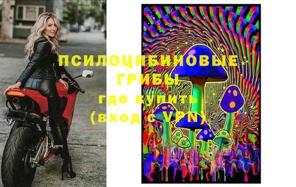 индика Арсеньев