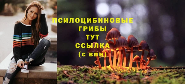индика Арсеньев