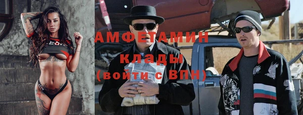 индика Арсеньев