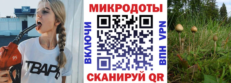 OMG ТОР  Сердобск  Псилоцибиновые грибы мухоморы 